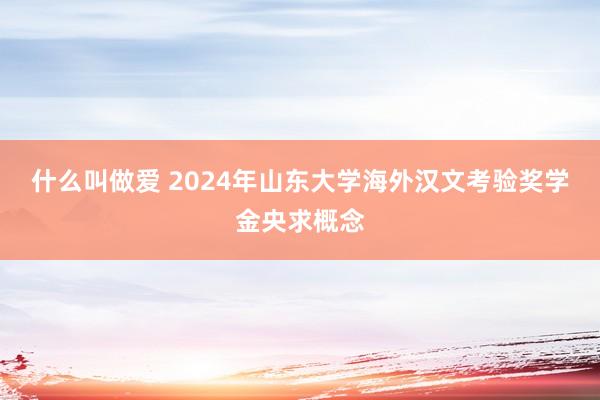 什么叫做爱 2024年山东大学海外汉文考验奖学金央求概念