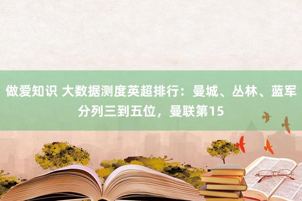 做爱知识 大数据测度英超排行：曼城、丛林、蓝军分列三到五位，曼联第15