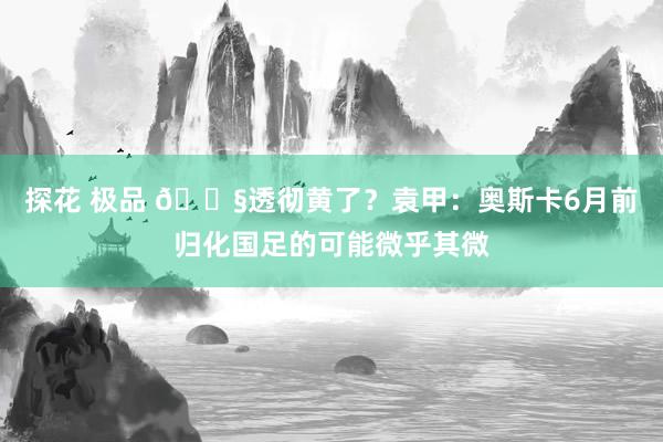 探花 极品 😧透彻黄了？袁甲：奥斯卡6月前归化国足的可能微乎其微