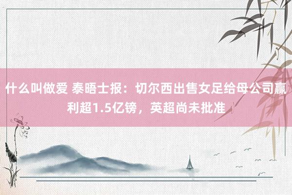 什么叫做爱 泰晤士报：切尔西出售女足给母公司赢利超1.5亿镑，英超尚未批准